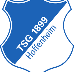 Футбольный клуб 1899 Хоффенхайм Чемпионат Германии 2018-2019